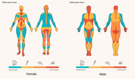 full boob tattoos|Tattoo Pain Chart: Where It Hurts Most (and Least)